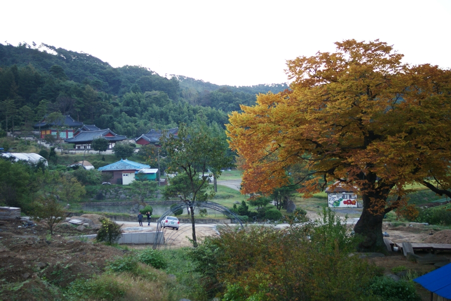 a05.JPG